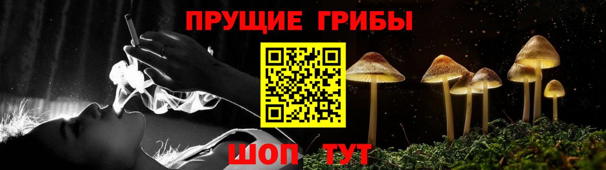 Галлюциногенные грибы прущие грибы Корсаков